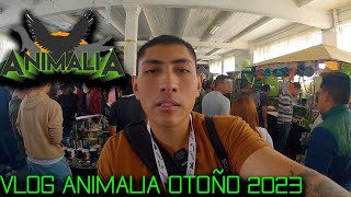 ANIMALIA OTOÑO 2023 VLOG  ENCUENTRA UNA MASCOTA FUERA DE LO COMÚN  SERPIENTES  GECKOS  AVES [upl. by Shelden]