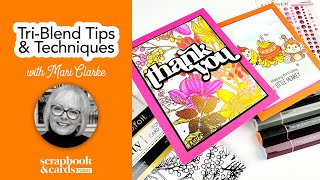 TriBlend Tips amp Techniques with Mari Clarke [upl. by Aehcsrop488]