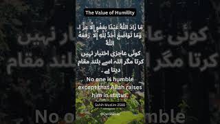 The Value of Humility  A Virtuous Hadith  quotes quranictranslation quran love [upl. by Aneen]