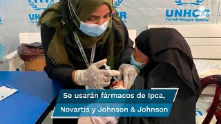 OMS inicia ensayos con 3 nuevos posibles tratamientos contra el coronavirus [upl. by Artema]