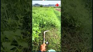 Powerful OneHand Grass Cutting Tool  Easy Lawn Care Solution GardeningTools Trimming Effortless [upl. by Lithea]