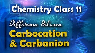 Difference Between Carbocation and Carbanion  Basic Principle and Techniques in Organic Chemistry [upl. by Rowan763]