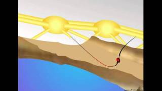 Neurons Synapse and Information Transfer [upl. by Tallie625]