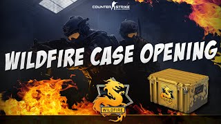 CSGO  The Wildfire Case Opening 1 [upl. by Evers]