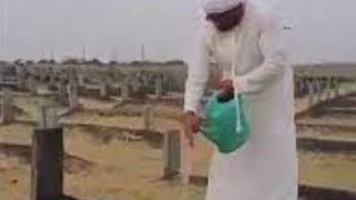 SPRAYING WATER ON GRAVES🕋 [upl. by Kifar]