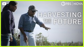 Harvesting the Future  Legacy of the Land  NOVA  PBS [upl. by Posehn]