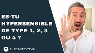 Les 4 types d’HyperSensibles [upl. by Kathrine]