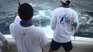 pescando en isla mujeres [upl. by French]