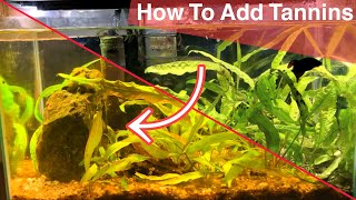 How To Add Tannins To Your Aquarium [upl. by Zeralda168]