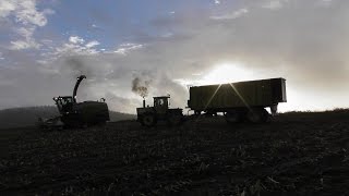 LU Baumer im Häckselfieber  Claas Jaguar 860  Teil 1 v 2  mit LU Zimmermann MB Trac 1600 Turbo [upl. by Tihw]