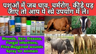 पशुओं में जब घाव चर्मरोग कीड़े पड़ जाए तो आप कौन सा स्प्रे उपयोग में लें Spray for Animals [upl. by Louisette]