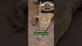 Meet Henry The Worlds Oldest Croc with 10000 Babies  History Flashquot  History Flash [upl. by Aliak246]