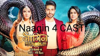 NAAGIN 04 CAST REAL NAME ❤️🐍  Brinda  Dev  Nayantara [upl. by Htaek26]