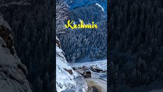 Kashmir Tour Plan Budget  Kashmir Vlog  shorts [upl. by Lletram]