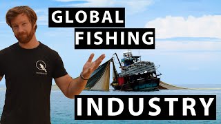 GLOBAL OVERFISHING  The impacts of the growth of the Fishing Industry and the damage to the OCEANS [upl. by Ettenajna]