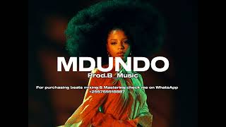 new MDUNDO Amapino type Gospel New Injili beat Instrumental Type Beat [upl. by Gustavo]