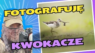 Jak fotografuję ptaki Kwokacz  Fotografia przyrodnicza [upl. by Ybsorc]