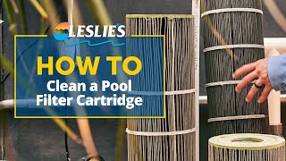 How to Clean a Pool Filter Cartridge  Leslies [upl. by Hitoshi358]