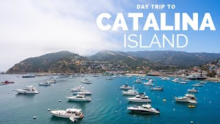 Catalina Island Day Trip What to do in Avalon in One Day [upl. by Ojok]