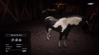 Red Dead Redemption 2 Free Male Hungarian Halfbred Piebald Tobiano Early In Chapter 2 [upl. by Tawney]