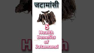 Jatamansi benefits hair skincare herbs healthconscious almond winter science ayurveda [upl. by Ellard]