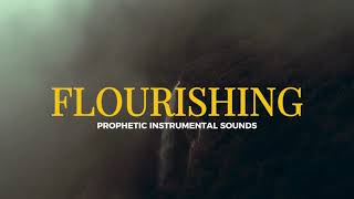 Flourishing  Prayer Time amp Meditation Music [upl. by Thayne]