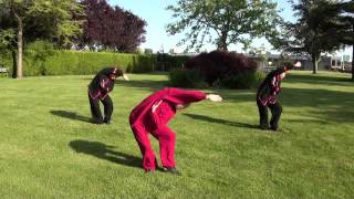 Chinese Health Qigong by Alan [upl. by Rosalia]