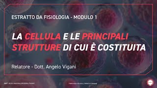 Struttura della cellula muscolare  Corso Personal Trainer SNPT con dott Angelo Vigani [upl. by Aicirtam]