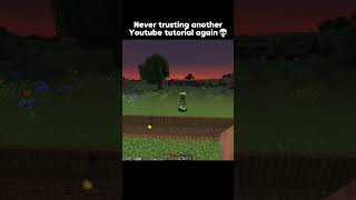 Never again 💀  minecraft minecraftshorts minecraftmemes [upl. by Draned]