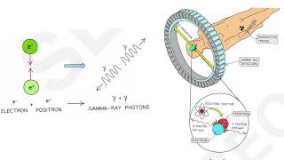 Medical Physics 9of9 PET scan [upl. by Awhsoj]