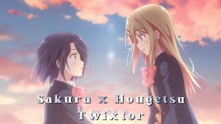 Sakura amp Hougetsu Twixtor 60fps  Adachi to Shimamura [upl. by Etteniotna]