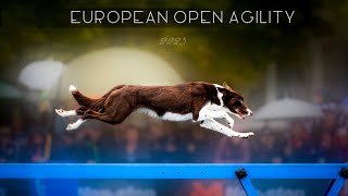 European Open 2023  Agility Slow Motion Video [upl. by Lladnyk55]