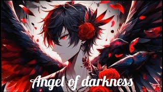 Nightcore  Angel of darkness Male Version Lyrics [upl. by Francie]