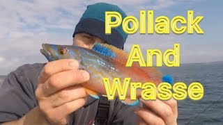 Sea Fishing UK  Pollack and Wrasse  Small Boat Fishing [upl. by Ehcsrop]