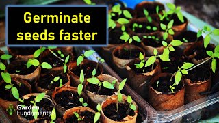 Getting Seeds to Germinate  How to Overcome Dormancy [upl. by Hahsi]