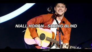 Niall Horan  SEEING BLIND lyrics  sub español [upl. by Adiaz]