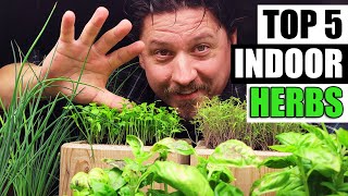 Top 5 Herbs To Grow Indoors [upl. by Thibaud]