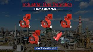 Industrial Gas Detection Supplier [upl. by Zeiger]