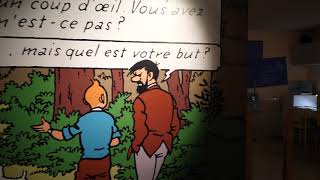 Découvrez le musée Tintin au Château de Cheverny [upl. by Naghem131]