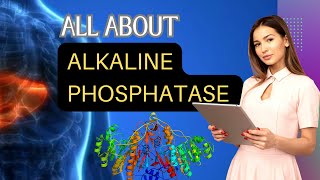 Alkaline Phosphatase Test  ALP Test ALP Normal Range Causes of Low ALPHigh ALP amp Its Functions [upl. by Geralda]