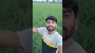 payaliya katati nahi rat 🫂 bollywood song music hindisong bollywoodsongs shorts youtubeshorts [upl. by Sebbie290]