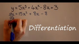 Differentiation [upl. by Brottman]