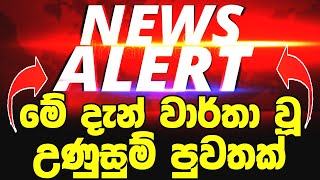 Breaking News Here is special announcement  Derana BREAKING NEWS  This is special newsNews [upl. by Philipp]