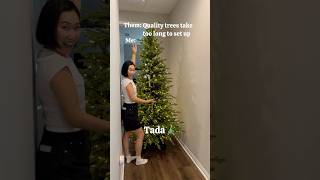 Setting up our Christmas tree in WORLD RECORD time [upl. by Strong233]