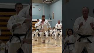 Working on chambering the side kick Karate shotokan coaching tips martialarts [upl. by Aivizt341]