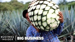 Mezcal Is The FastestGrowing Liquor In The US Why Arent Mexican Producers Cashing In [upl. by Holleran233]