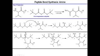 Lec11  Formation of the Peptide Bond and Protecting Groups [upl. by Anikehs774]