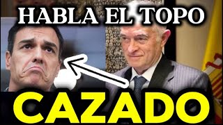 ðŸš¨URGENTEðŸš¨FILTRAN GRAVISIMO ESCANDALO CONTRA EL JUEZ PEINADO DE ABOGADA DEL ESTADO Y PEDRO SANCHEZ [upl. by Naneik]