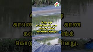 சுழற்சி முறையில் இயற்கை விவசாயம்  iyarkai vivasayam  youtubeshorts shorts shortsyoutube [upl. by Metsky]