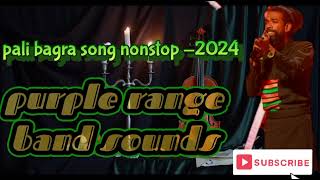 Pali bagra song nonstop 2024 [upl. by Zachariah]